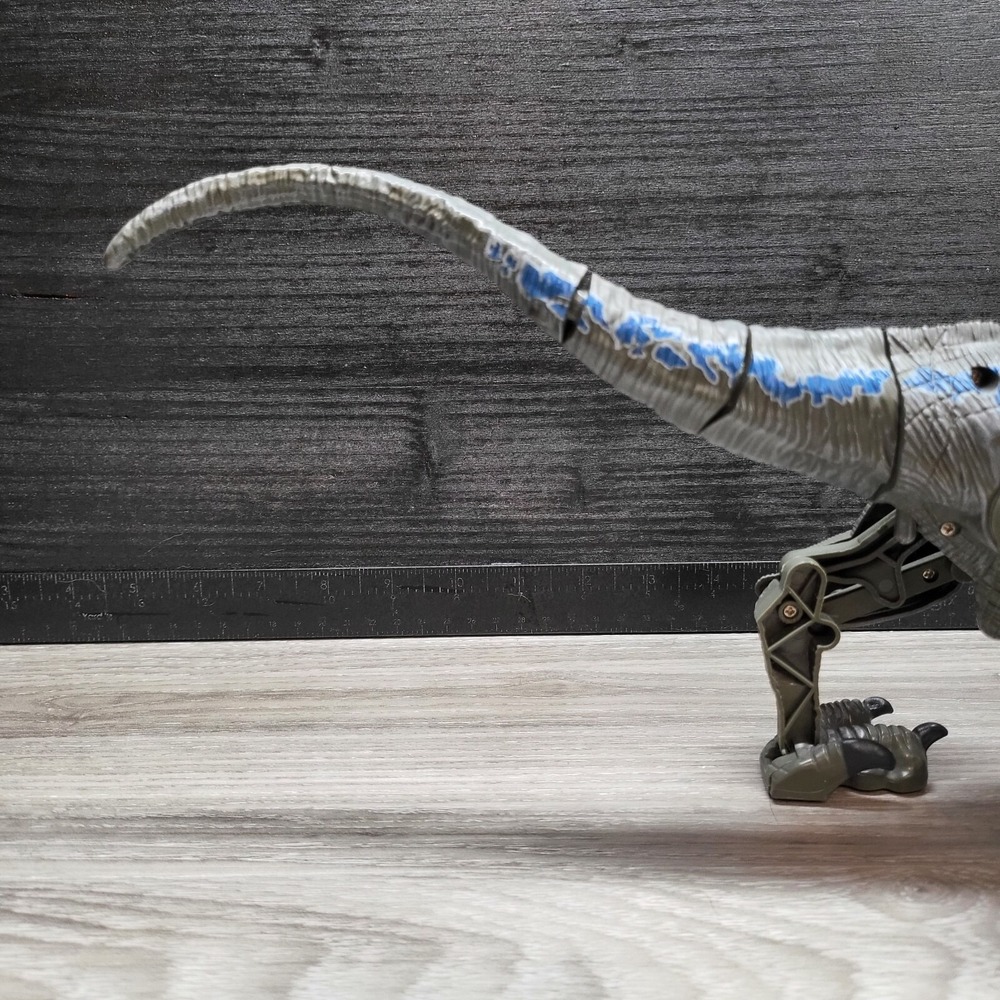 Remote Controlled Raptor No Remote! Tested! - Picture 8 of 16